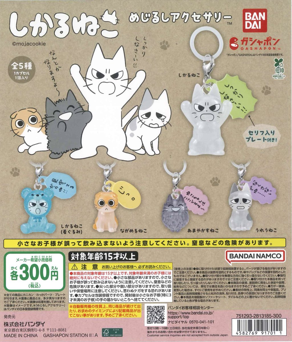 🌟新入荷商品🌟 📌しかるねこ めじるしアクセサリー 📌忘却バッテリー
