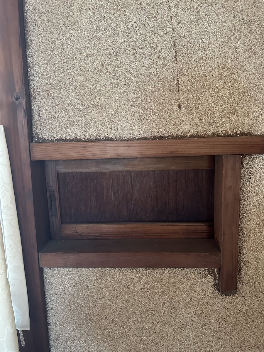 DARASHIMEN_OFFICIAL tweet media