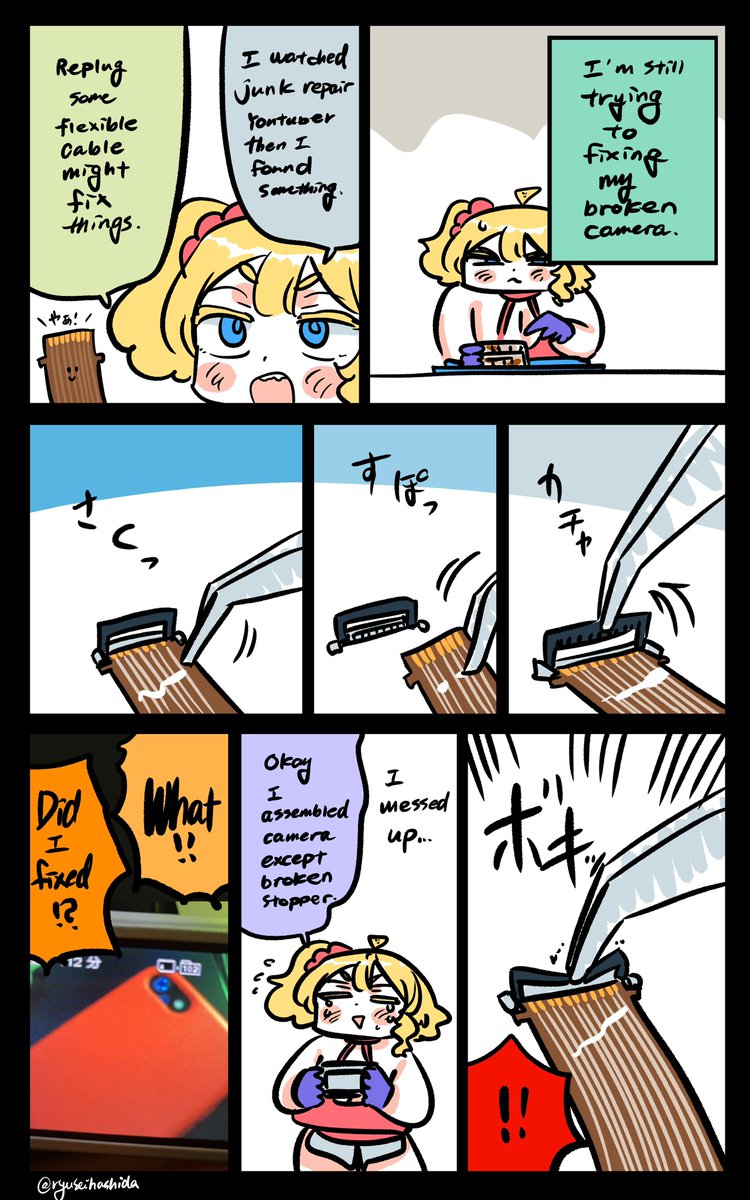 奇跡が起きたフロリダちゃん日記です。

"Miracle" Florida diary. 