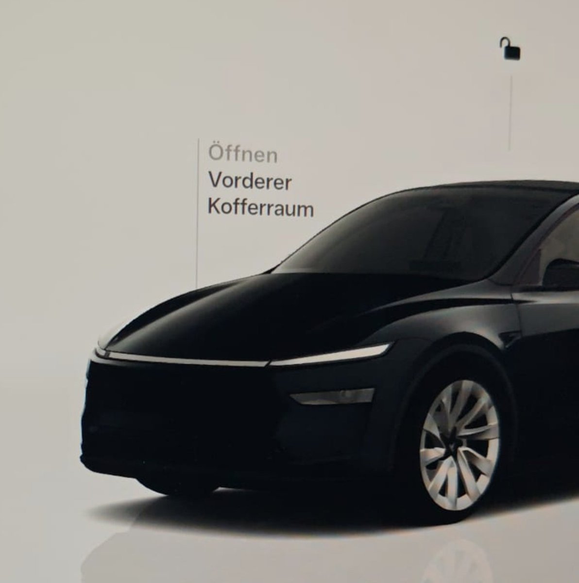Basya und Tesla tweet media