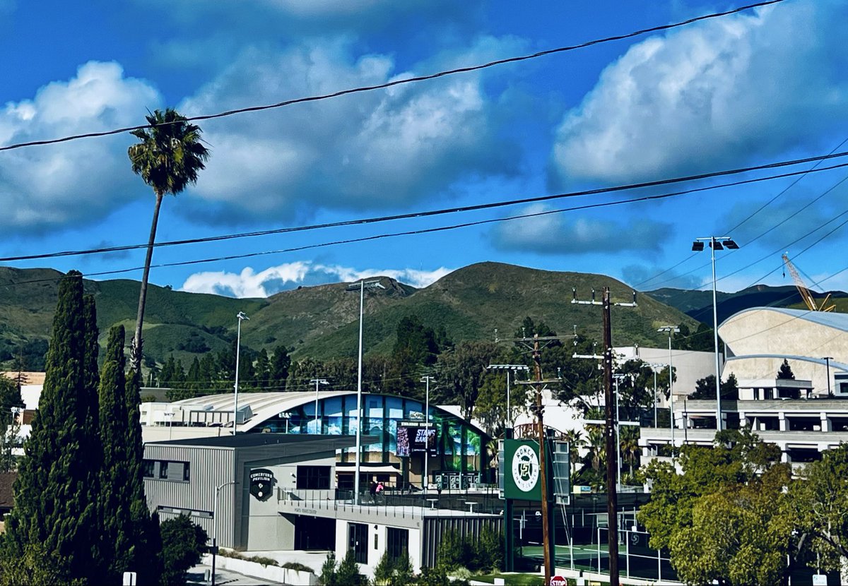 WildDevice's tweet image. The dark blue sky that looks like a painting 
Campus View 

#photography #campus #streetphotography