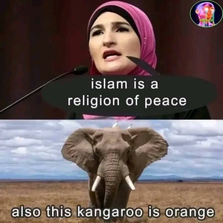 Neccccy's tweet photo. 😂 😂 😂 https://t.co/Ht4aZRgMnG