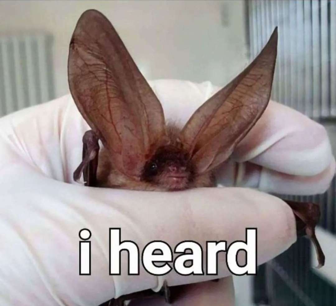 ShitpostGateway tweet media