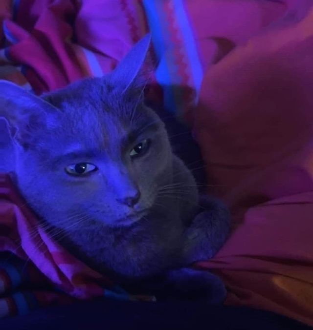 nothingcel (@friedbyfiuoride) on Twitter photo 