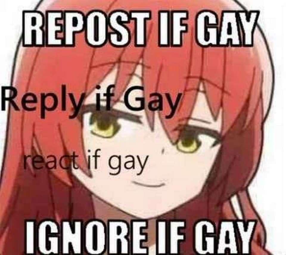 ShitpostGateway (@shitpostgate) on Twitter photo 