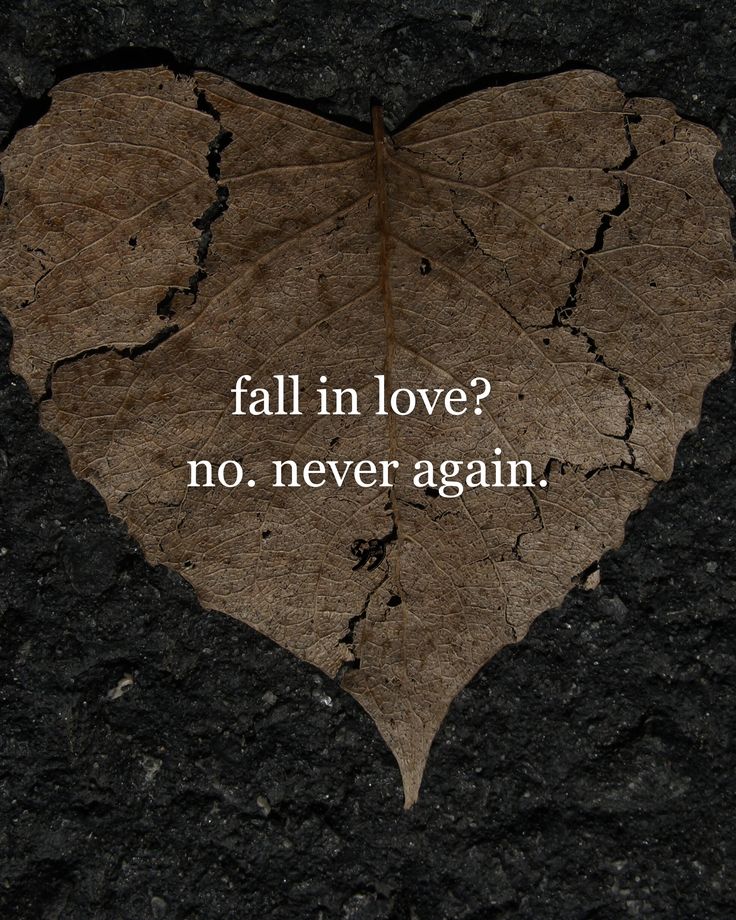 Zero Emotions (@zeroe53792) on Twitter photo 