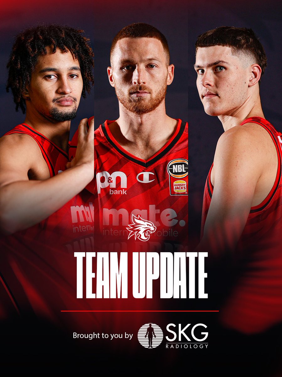 Perth Wildcats tweet media
