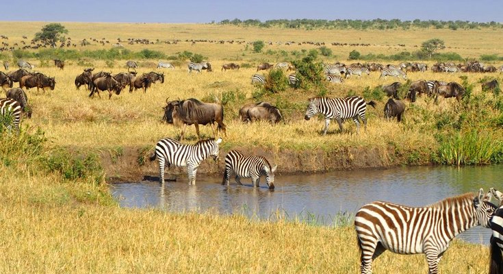 Reteti Adventure Safaris Ltd tweet media