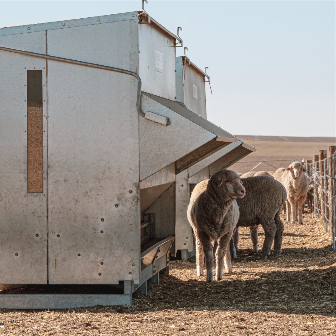 LIENERT ENGINEERING tweet media