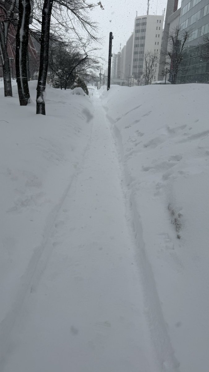あまりにもすごい大雪で札幌から動けない

新千歳空港に行けるのか、飛行機が飛ぶのか分からない😅