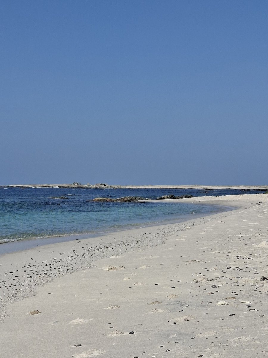 Long Nab Birder tweet media