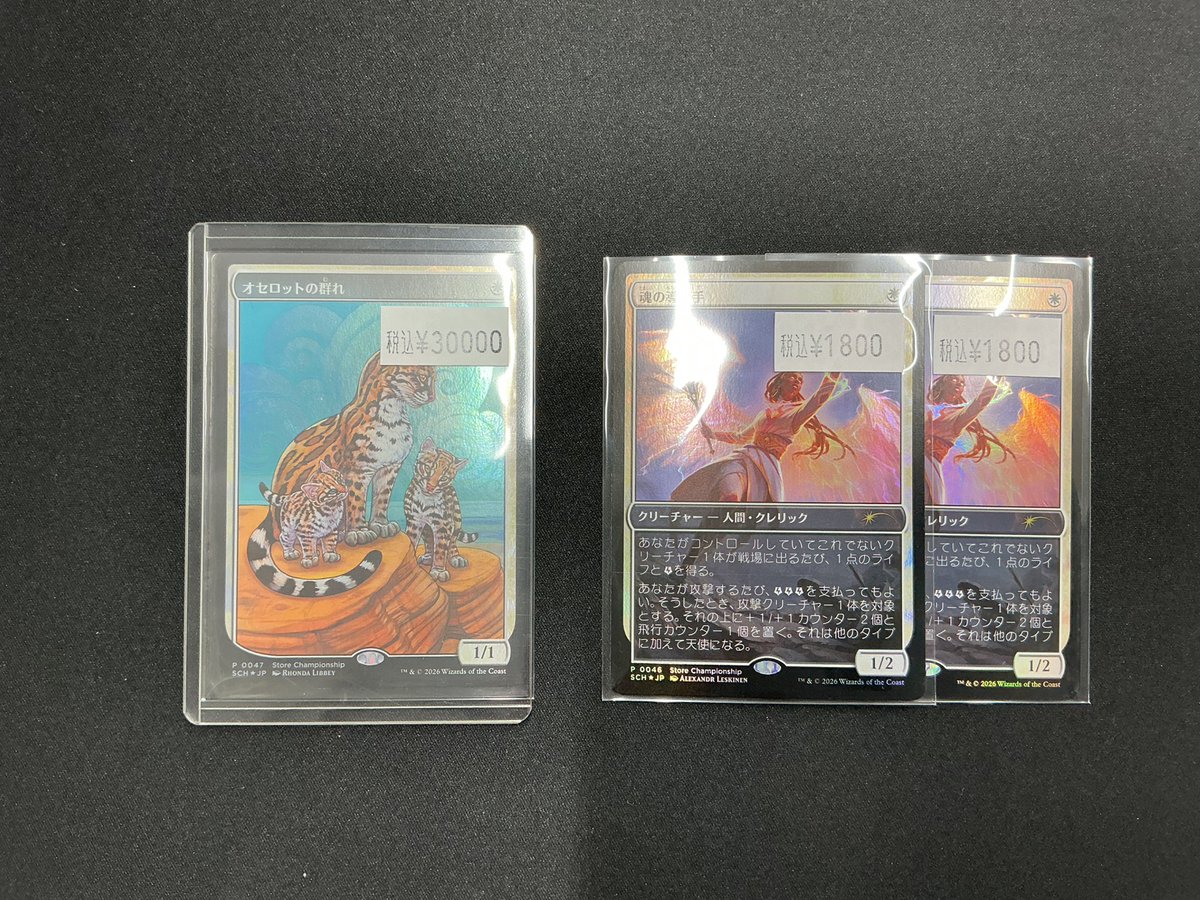 MTG 買取情報】#新宿 #イエローサブマリン オセロットの群れ 〈SCH