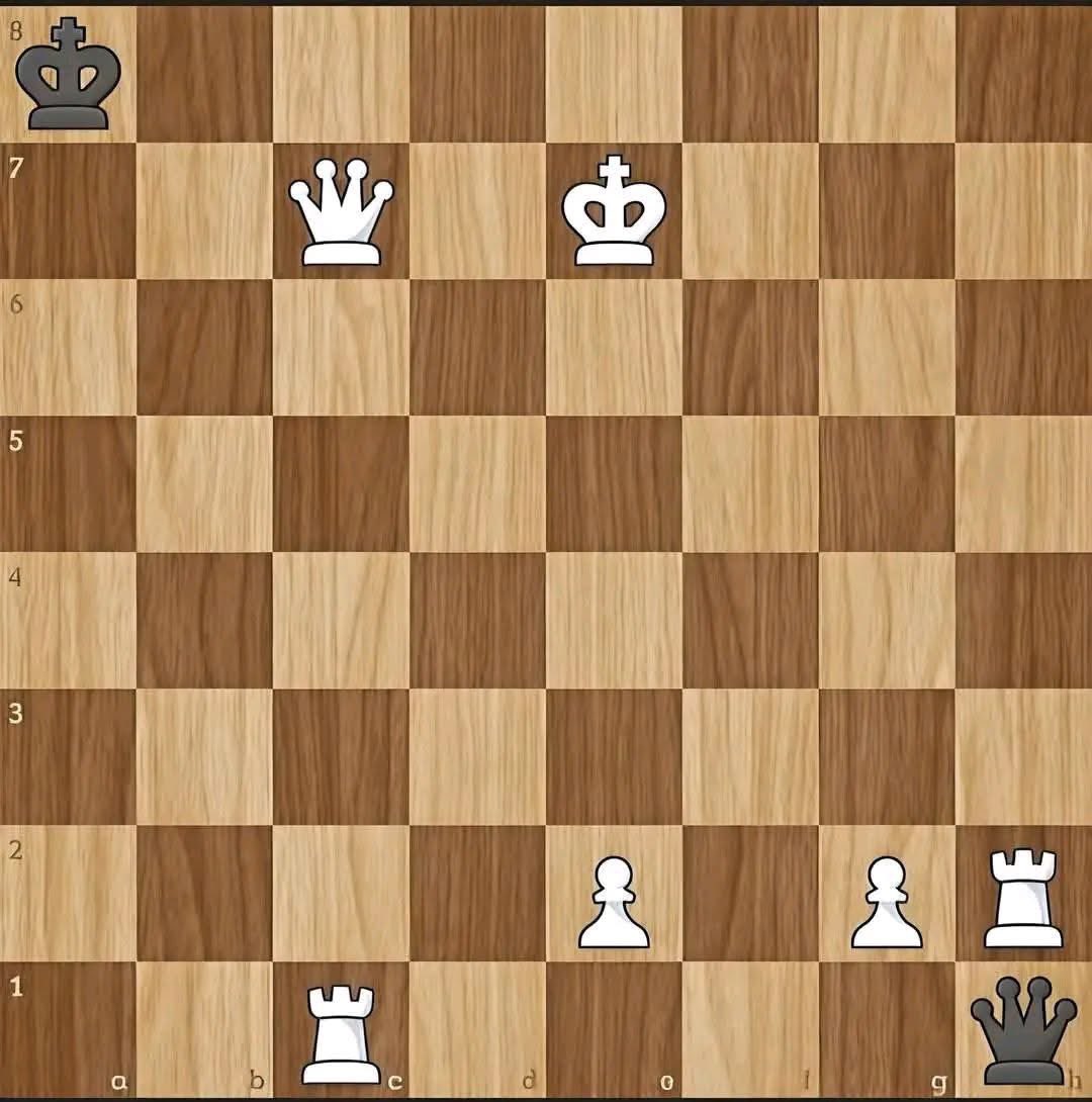 Chess Feed tweet media