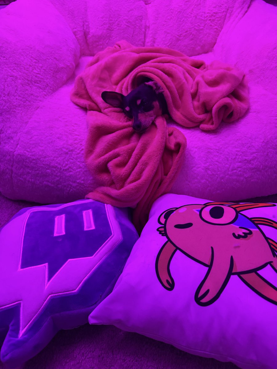 Emi Addison tweet media