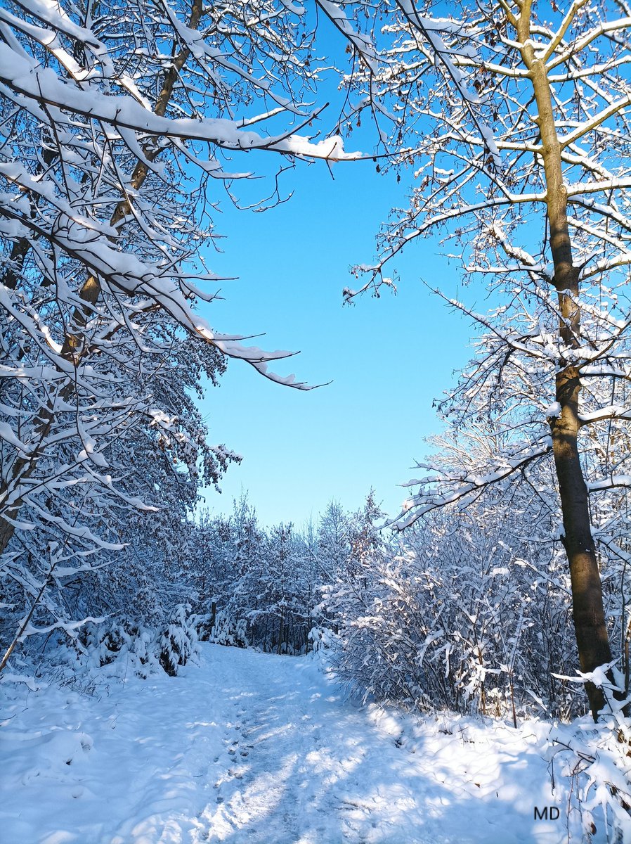 Martina Dvorská (@martinadvorsk2) on Twitter photo 