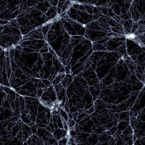 forallcurious's tweet image. BREAKING🚨: Your consciousness can connect with the whole universe, groundbreaking research reveals
