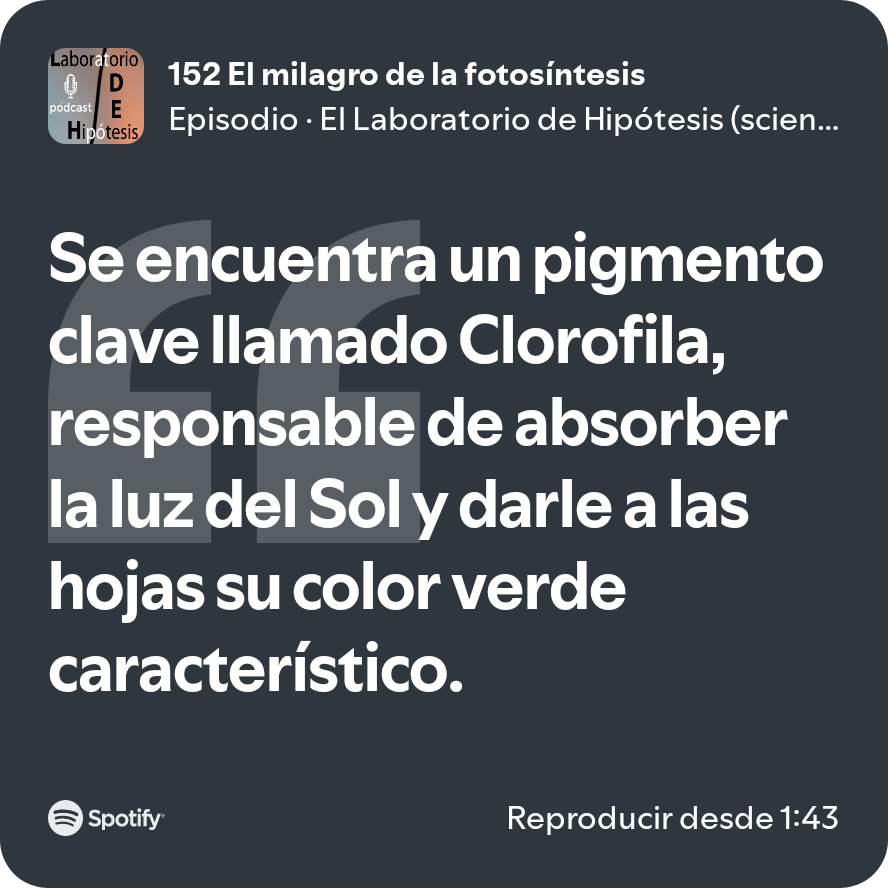 JuanMambrilla17's tweet photo. Entender la fotosíntesis es entender algo maravilloso 
https://t.co/ViP2nh5LHj
#LaboratorioDeHipótesis #Física #Physics #Science #DivulgaciónCientífica #STEM #SciComm #ScienceCommunication #PhysicsEducation #CienciaParaTodos #EducationMatters #ciamaria #ciamariava https://t.co/qiSJE59FEC