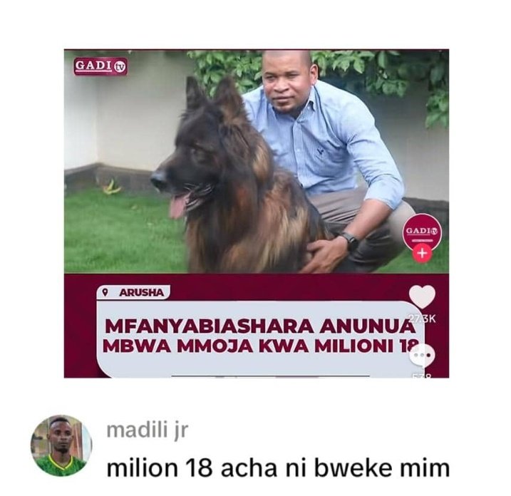 Mwanetu hachagui kazi , yeye ni mtu kazi😂💔..
Okei, ile kesho uliyoisema jana ndio leo , anza sasa🙏...