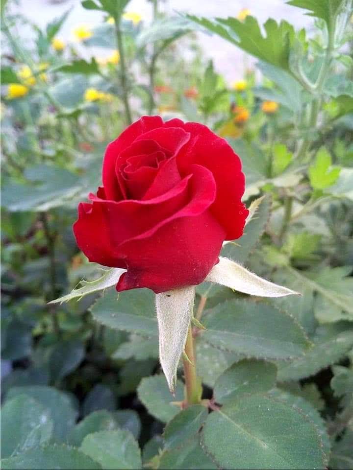 MarBulat's tweet photo. https://t.co/iXSU1bhIHT
