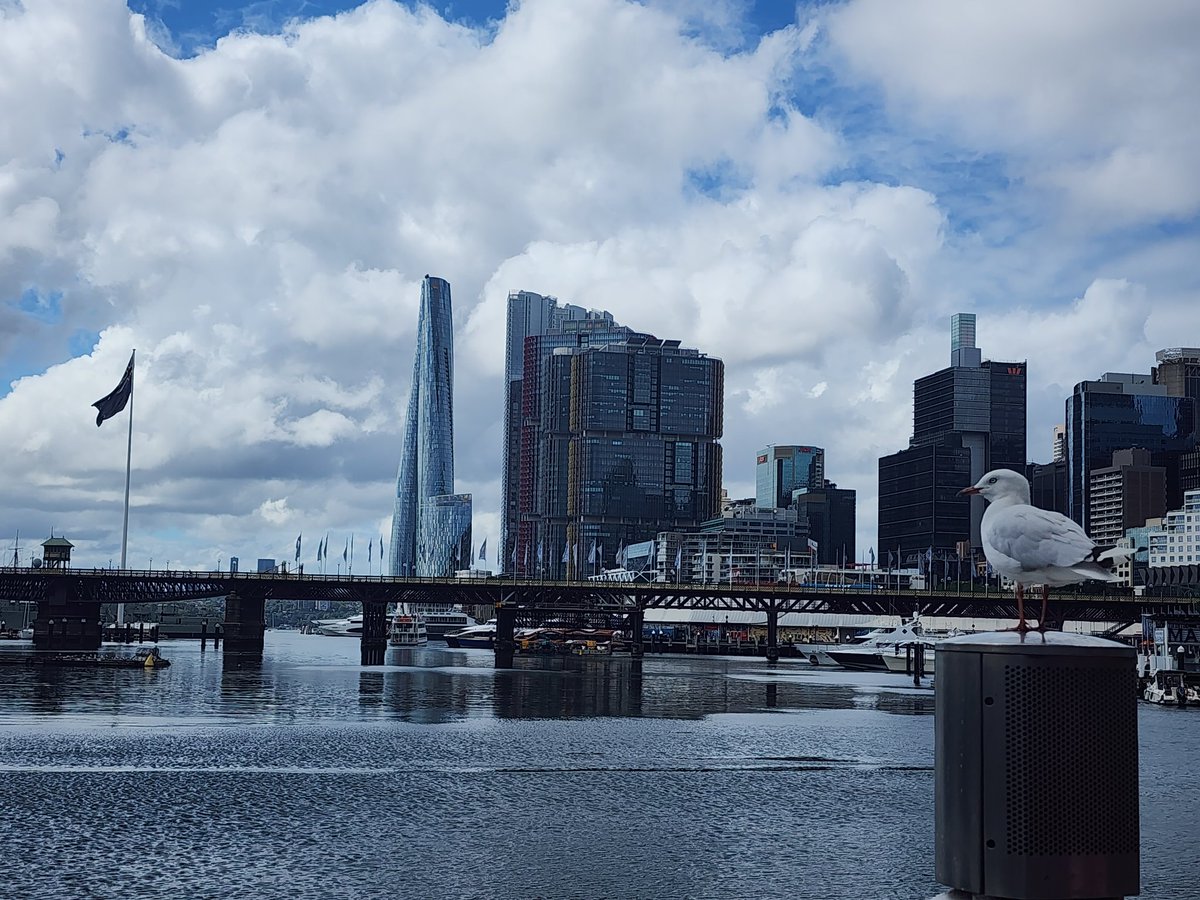 “人生的终极目标是去码头整点薯条”