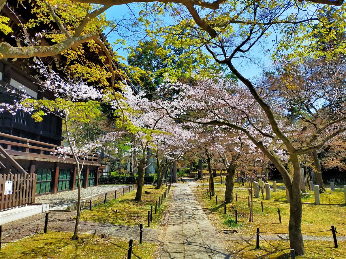 旅先での写真 tweet media