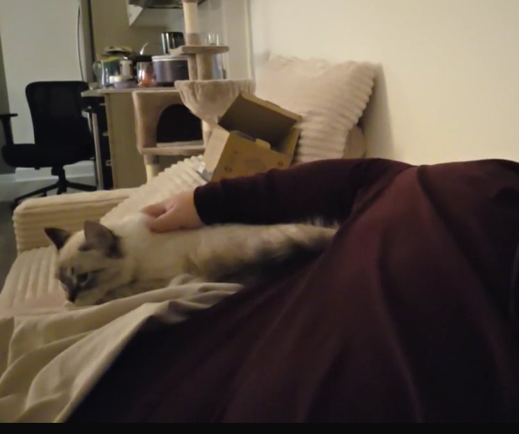 31 Frames tweet media