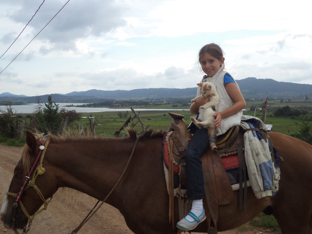 regis_8a's tweet image. a veces veo fotos de la edad que tenía cuando sufrí SA y digo lit solo quiero abrazarla 

a continuación con las imágenes