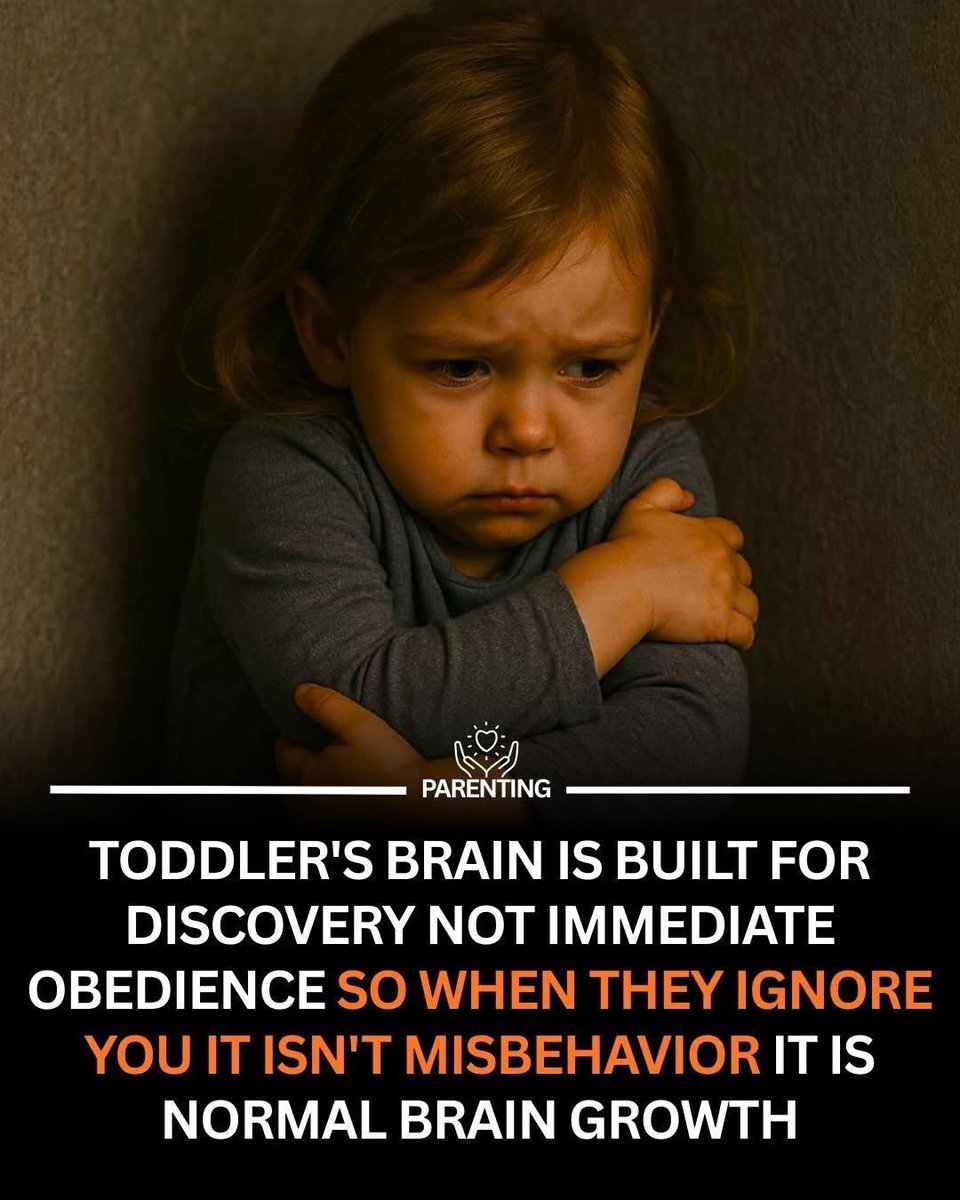 Toddlers are not wired for instant obedience. Their brains are built for exploration, testing limits, and learning through movement and curiosity. When they do not listen right away, it is often development in action.

At this stage, the prefrontal cortex, which manages impulse