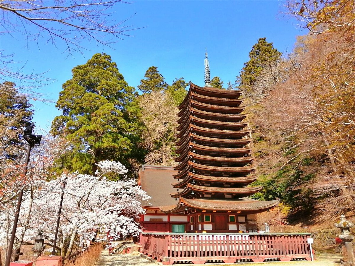 旅先での写真 tweet media