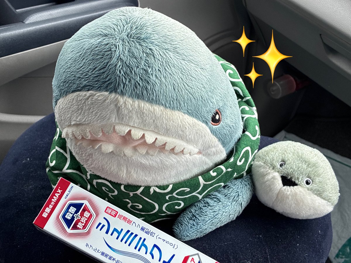 メッキアジ tweet media