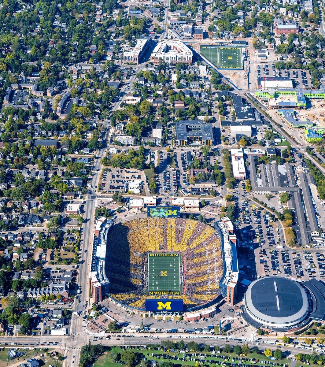 〽️ichigan Mogul tweet media