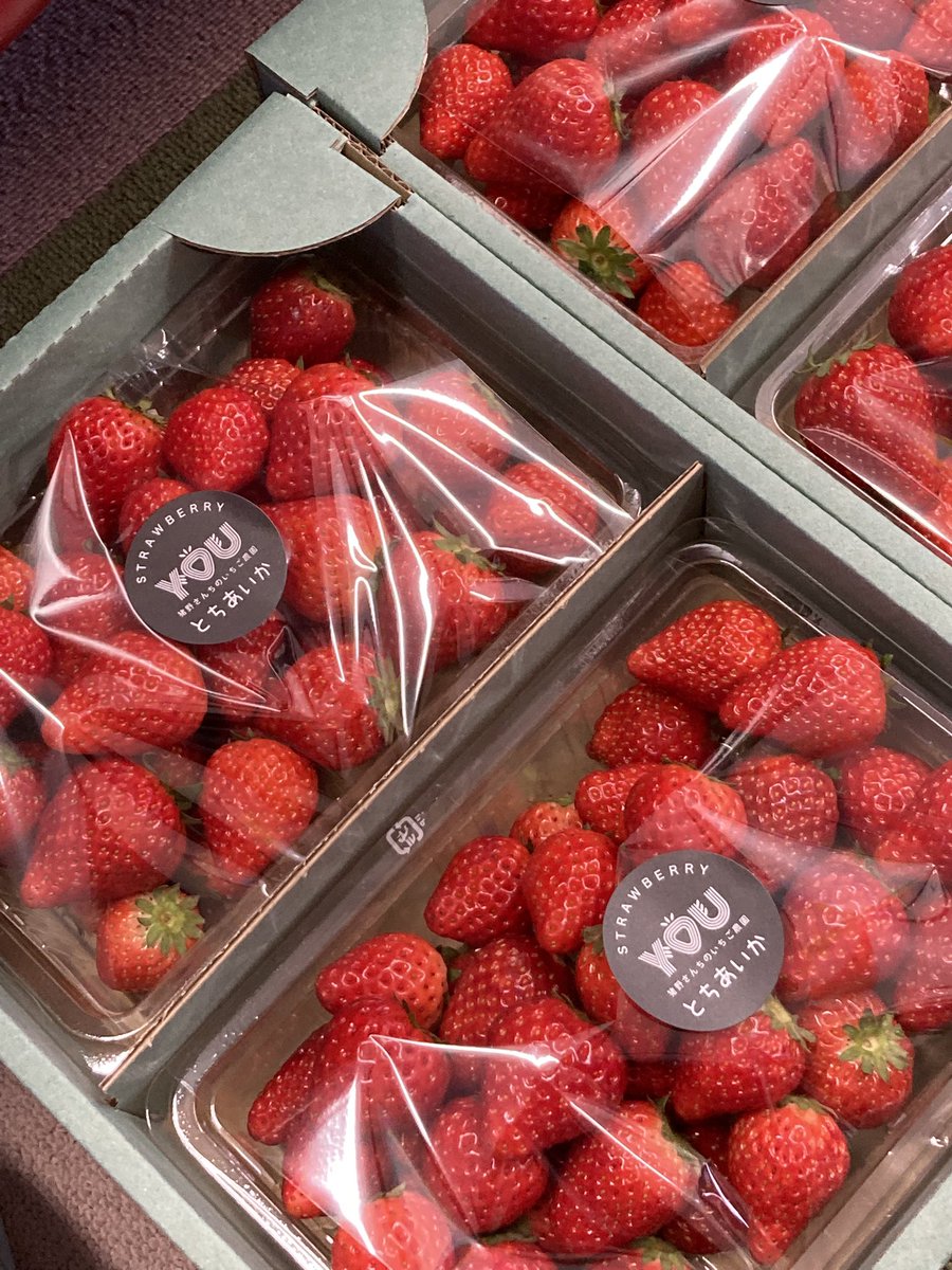 猪野さんちのいちご農園 (@inosanchino15) / Posts / X