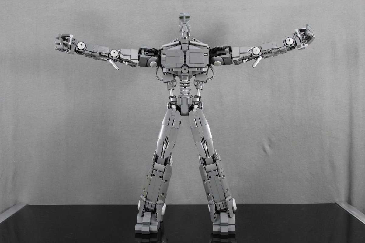 Wombat Combat Pictures tweet media