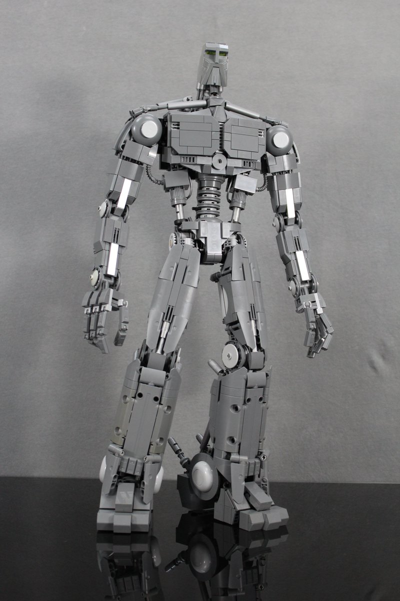 Wombat Combat Pictures tweet media