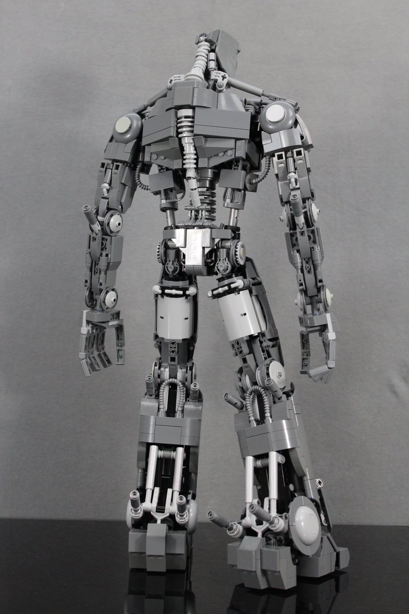 Wombat Combat Pictures tweet media