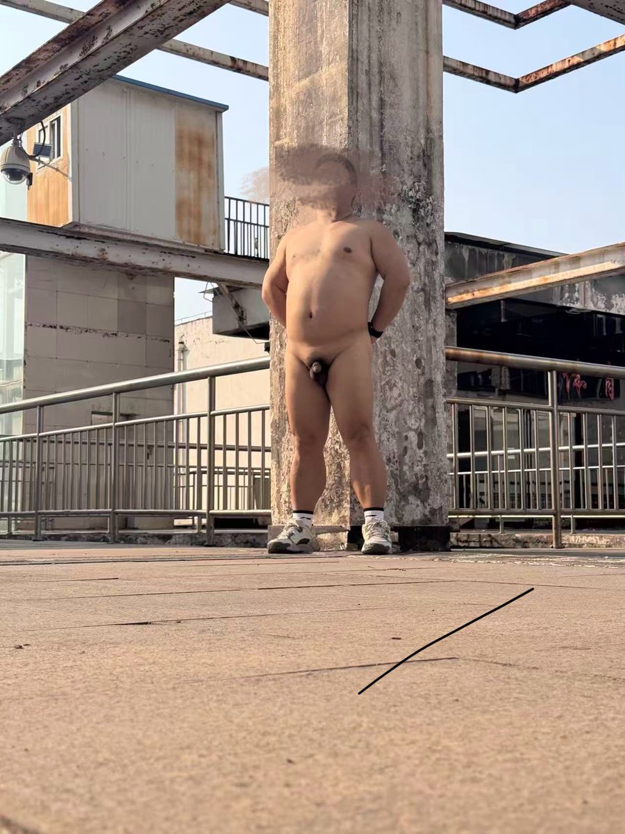 Lazybear tweet media