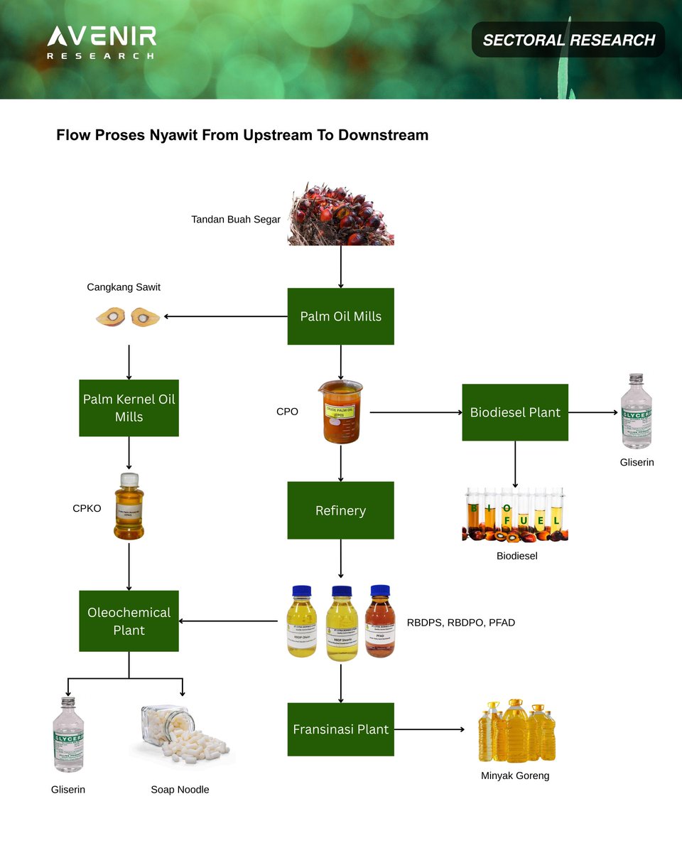 umarfikrii's tweet photo. Riset ini pada dasarnya memetakan rantai nilai industri kelapa sawit dari hulu sampai hilir, dimulai dari tandan buah segar (TBS) hingga produk konsumen seperti minyak goreng, biodiesel, dan turunan oleokimia. Kalau ditarik secara ekonomi industri, ini bukan sekadar alur produksi, tetapi representasi distribusi margin dan risiko di sepanjang supply chain.

Di tahap paling hulu, TBS dihasilkan dari perkebunan. Ini adalah fase biologis, dipengaruhi umur tanaman, curah hujan, produktivitas per hektare, dan biaya agronomis seperti pupuk serta tenaga kerja. Nilai tambah di sini relatif rendah dan sangat sensitif terhadap harga CPO global. Perusahaan yang berhenti di tahap ini essentially adalah price taker. Ketika harga CPO naik, mereka outperform. Ketika harga turun, margin tergerus cepat. Volatilitas tinggi, beta tinggi.

TBS kemudian diproses di Palm Oil Mills menjadi dua produk utama yaitu Crude Palm Oil (CPO) dan kernel (inti sawit). Kernel diproses lebih lanjut menjadi Crude Palm Kernel Oil (CPKO). Pada tahap ini, perusahaan mulai mendapatkan tambahan margin dari efisiensi ekstraksi (Oil Extraction Rate/OER). Namun secara struktur, profitabilitas masih sangat bergantung pada spread antara harga TBS dan harga CPO. Ini masih kategori upstream–midstream awal.

Masuk ke tahap refinery, CPO dimurnikan menjadi produk seperti RBDPO (Refined, Bleached, Deodorized Palm Oil), RBD stearin, dan PFAD. Di sini terjadi transformasi dari komoditas mentah menjadi bahan baku industri pangan dan kimia. Margin mulai lebih stabil karena perusahaan mendapatkan refinery margin, bukan hanya exposure harga komoditas. Secara model bisnis, ini sudah masuk integrated player. Risiko harga tetap ada, tetapi lebih terdiversifikasi.

Dari PKS, jalur bercabang. Satu jalur menuju biodiesel plant, di mana CPO diolah menjadi biodiesel dan menghasilkan gliserin sebagai by-product. Segmen ini sangat bergantung pada kebijakan pemerintah seperti mandat campuran B35/B40 dan insentif dari BPDPKS. Jadi secara fundamental, ini bukan pure commodity play, melainkan policy-driven earnings. Spread antara harga CPO dan harga solar menjadi faktor kunci.

Jalur lain menuju oleochemical plant. Di sini CPKO atau turunan refinery diolah menjadi fatty acid, fatty alcohol, soap noodle, hingga gliserin. Produk ini digunakan di industri sabun, kosmetik, dan surfaktan. Segmen oleokimia cenderung lebih defensif dan memiliki orientasi ekspor. Margin lebih stabil dibanding upstream karena berbasis specialty chemical demand, bukan sekadar harga CPO.

Tahap paling hilir dari Refinery adalah fraksinasi, hilirnya berupa produk konsumen seperti minyak goreng. Di titik ini, nilai tambah terbesar ditangkap melalui branding, distribusi, dan skala. Walaupun bahan bakunya tetap CPO, pricing power lebih besar karena produk sudah masuk ke retail market. Model bisnis ini lebih menyerupai FMCG dibanding perusahaan komoditas murni.

Kalau diringkas secara ekonomi industri:
Semakin ke hulu → volatilitas tinggi, leverage besar ke harga CPO.
Semakin ke hilir → margin lebih stabil, multiple biasanya lebih tinggi, tetapi risiko regulasi dan distribusi meningkat.
Integrated player → bisa mengunci margin melalui internal transfer pricing dan optimasi spread.