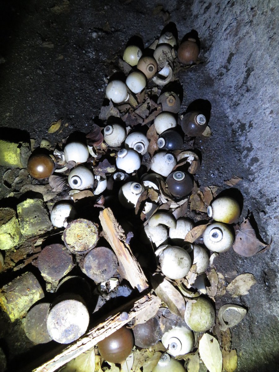 ガラクタ市で花瓶として売られていた