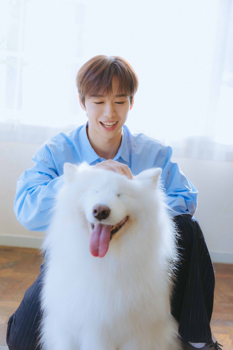 今日ももふもふ癒し🐶 🐻‍❄️←ダッツはこっちなんだね？