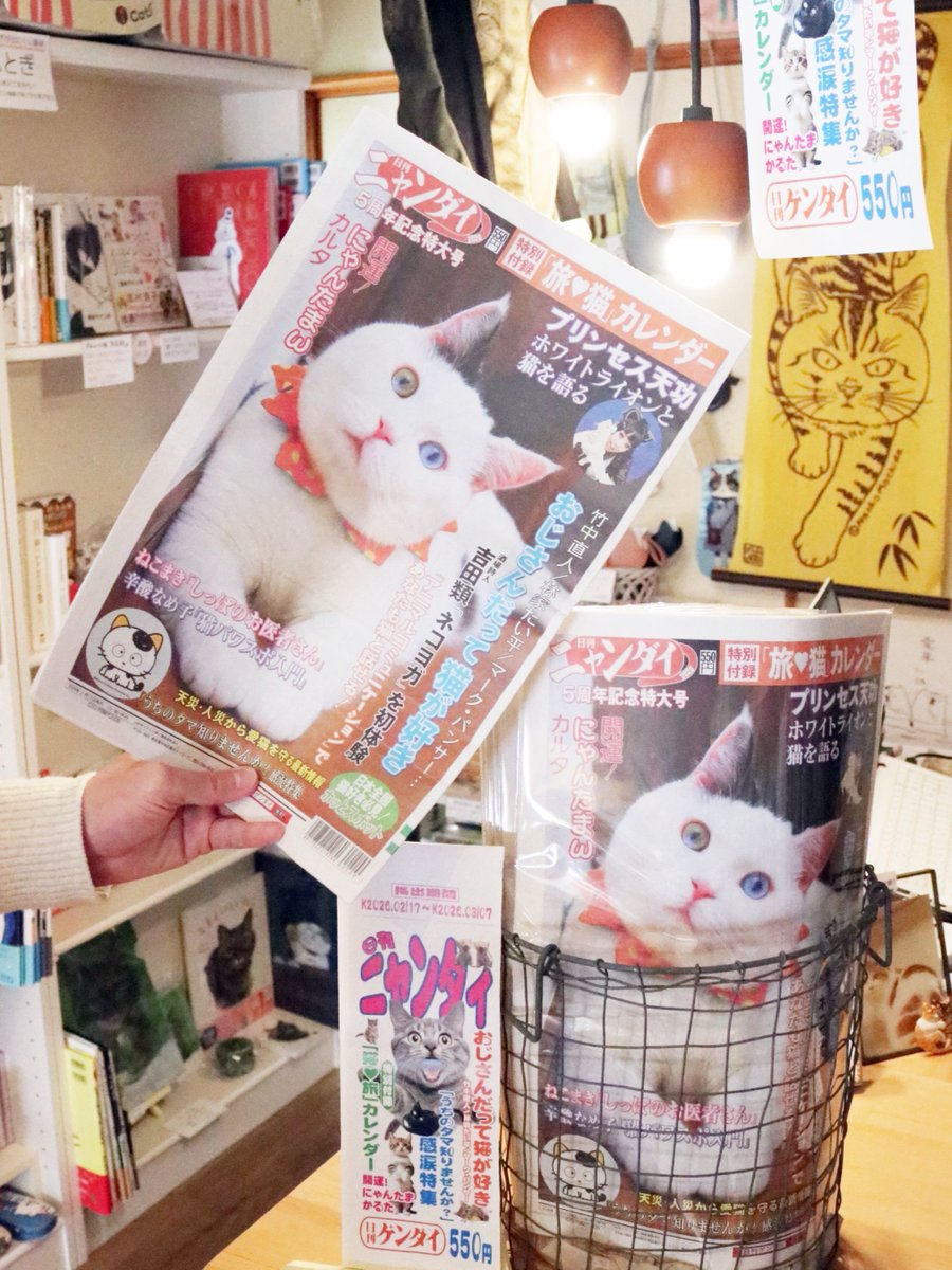日刊ニャンダイ2026』が入荷しました。年1回、2月に発行される日刊