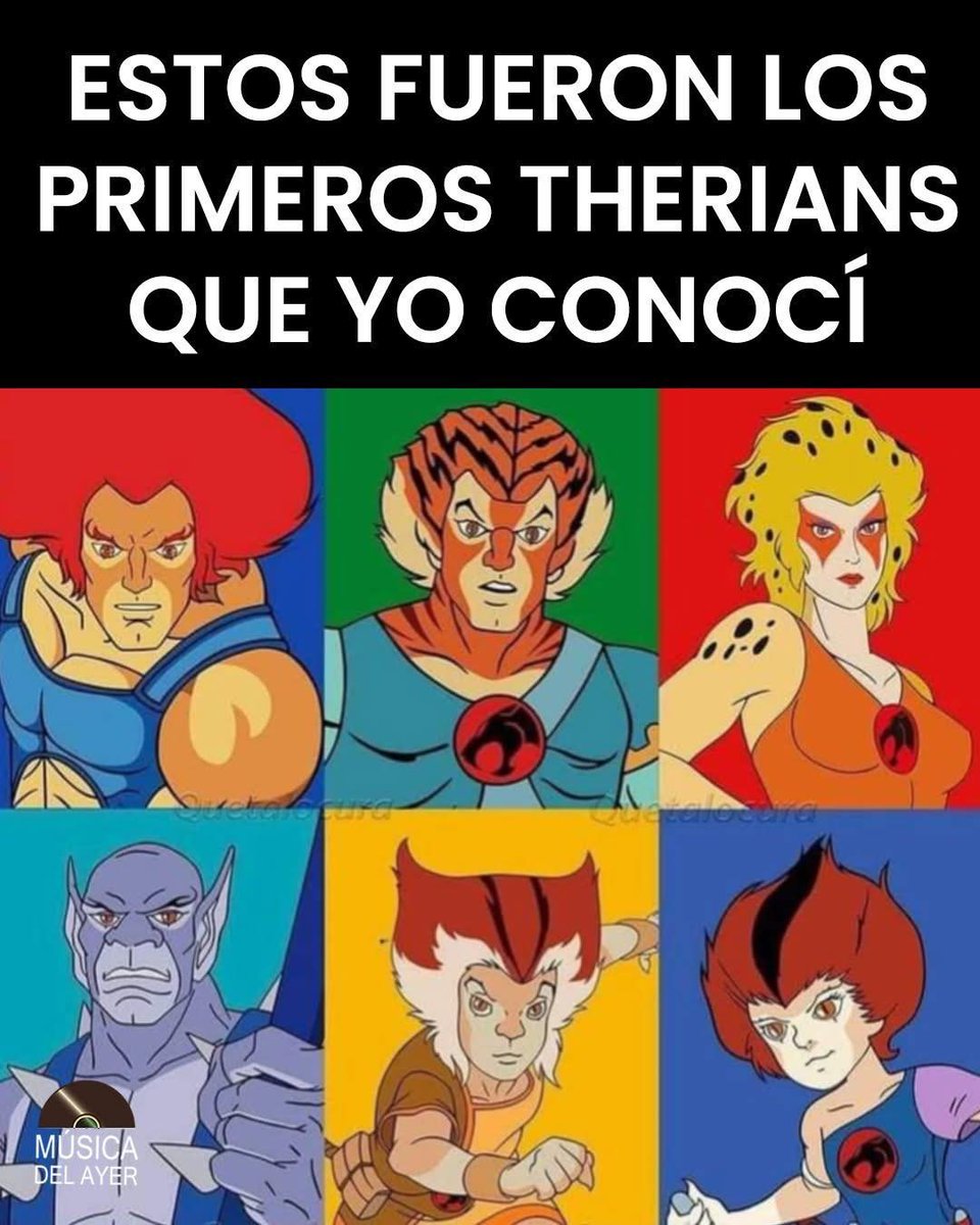 Rincón Curioso tweet media