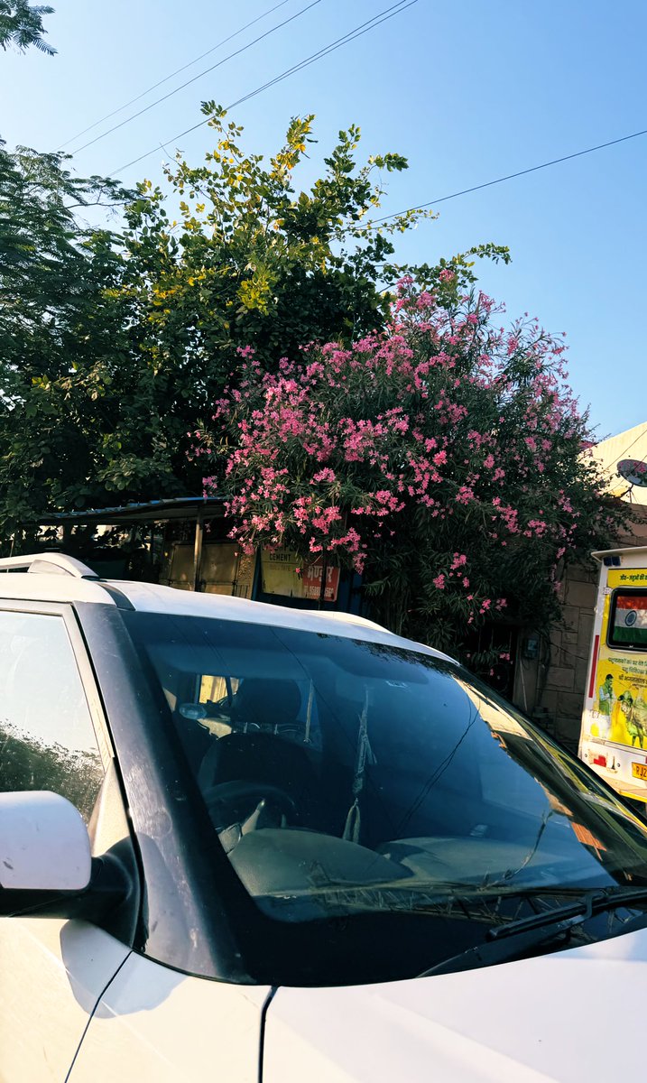 शहर के 
आसमान में उगाई एक फूलों की डाली है।
पूरी ज़मीन पत्थर पत्थर है 
शहर में 
शुक्र है!
आसमान अब भी खाली। 

<a href="/Kitabganj1/">Kitabganj</a>🌸