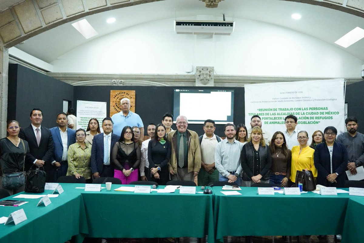 ChuchoSesmaPVEM's tweet photo. Nos reunimos con las y los titulares de las alcaldías de la Ciudad de México para trabajar en el fortalecimiento de la regulación de refugios de animales.

Escuchamos avances, retos y áreas de oportunidad. Falta mucho por hacer, sí, pero dar este primer paso de diálogo y coordinación es clave para construir una legislación más clara, más justa y verdaderamente efectiva para el bienestar animal.