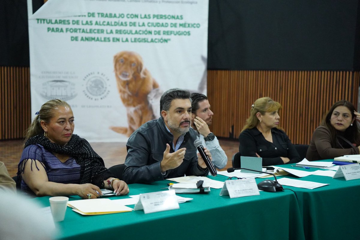 ChuchoSesmaPVEM's tweet photo. Nos reunimos con las y los titulares de las alcaldías de la Ciudad de México para trabajar en el fortalecimiento de la regulación de refugios de animales.

Escuchamos avances, retos y áreas de oportunidad. Falta mucho por hacer, sí, pero dar este primer paso de diálogo y coordinación es clave para construir una legislación más clara, más justa y verdaderamente efectiva para el bienestar animal.