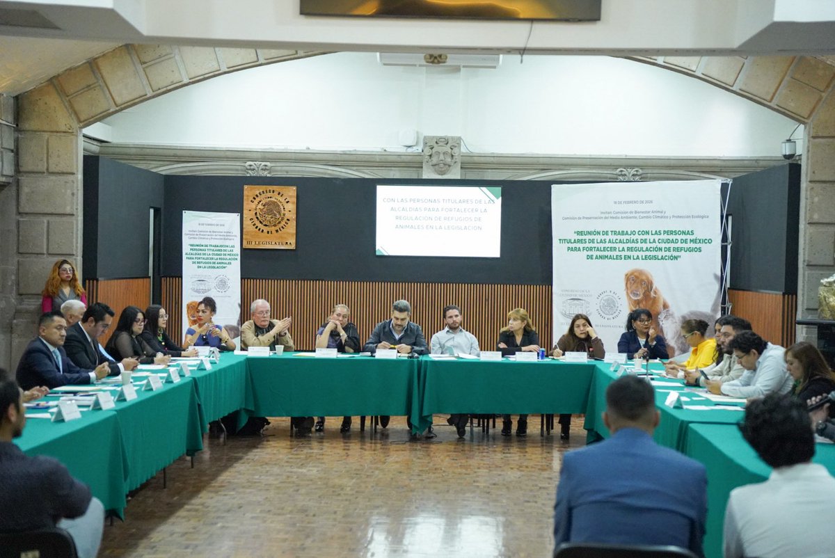 ChuchoSesmaPVEM's tweet photo. Nos reunimos con las y los titulares de las alcaldías de la Ciudad de México para trabajar en el fortalecimiento de la regulación de refugios de animales.

Escuchamos avances, retos y áreas de oportunidad. Falta mucho por hacer, sí, pero dar este primer paso de diálogo y coordinación es clave para construir una legislación más clara, más justa y verdaderamente efectiva para el bienestar animal.