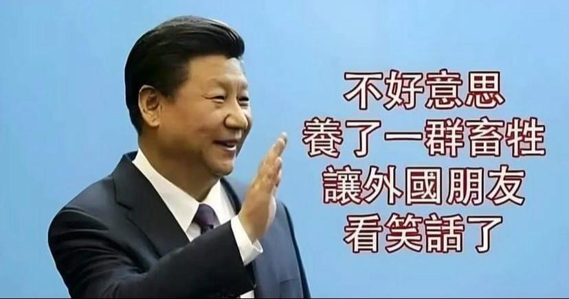 台獨人士 tweet media