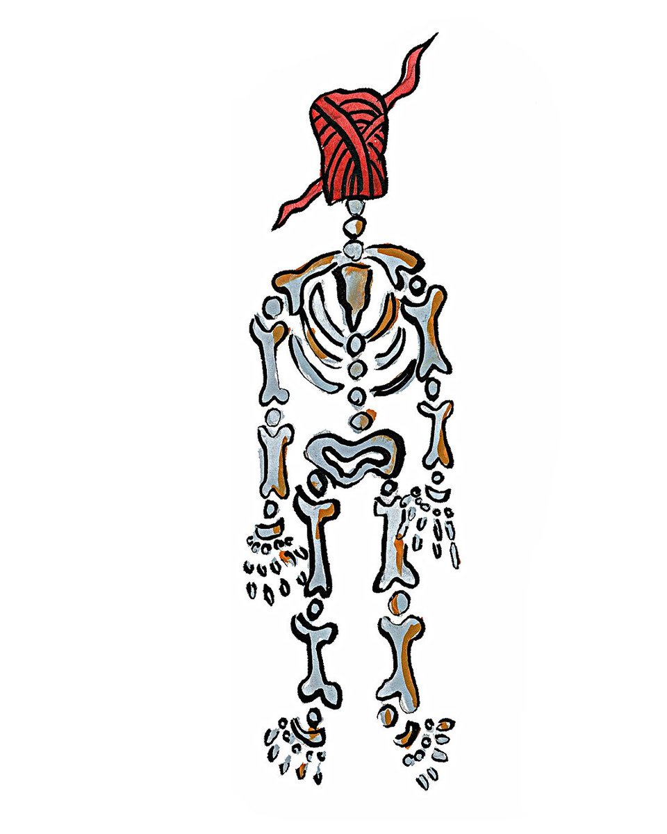 Dustin Holland tweet media