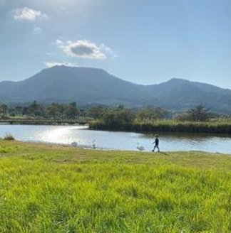 Tketulo's tweet image. パソコンはどうだろう？ 🐪