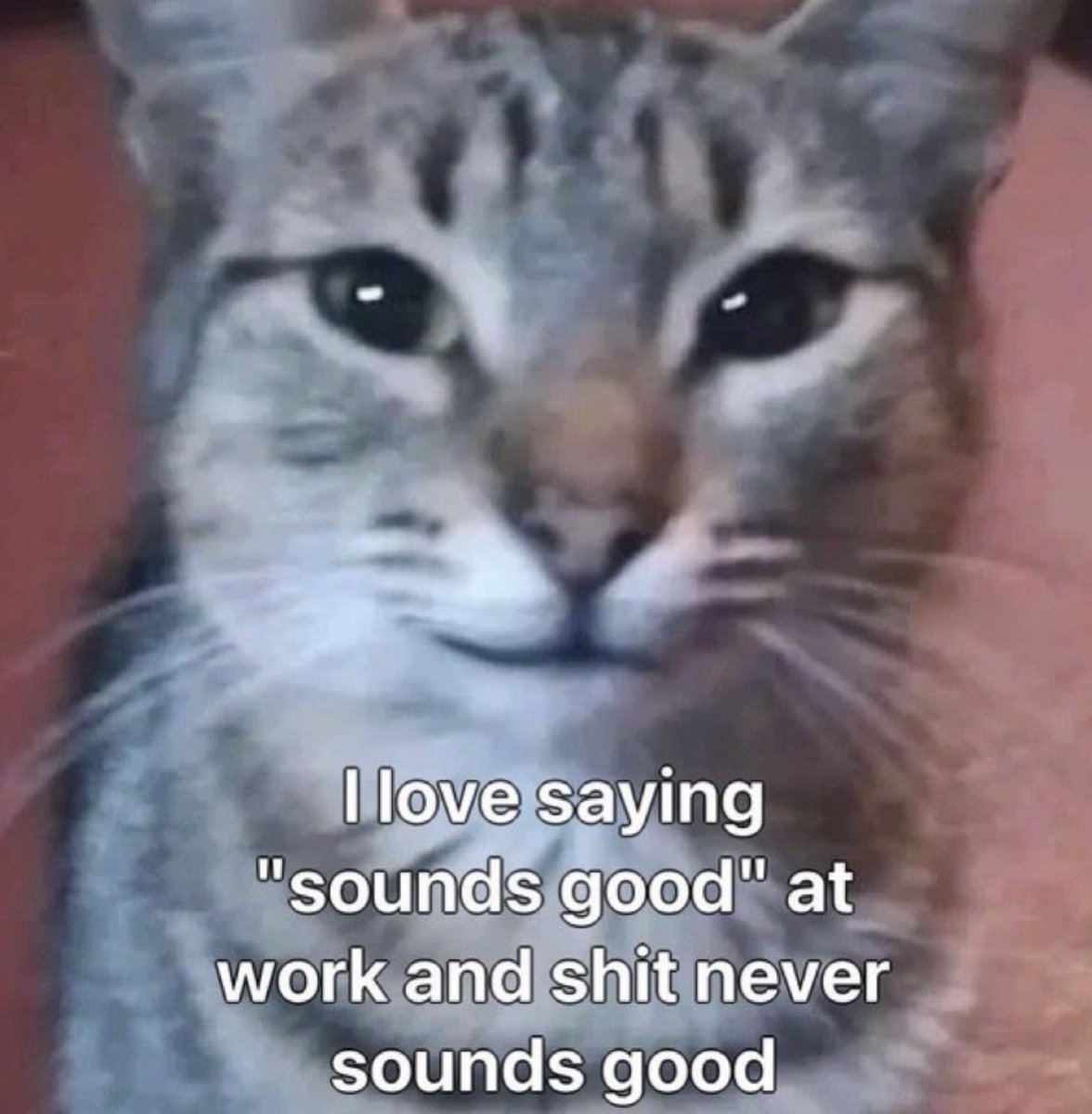 RespectfulMemes's tweet photo. https://t.co/JujeMg6Lbb