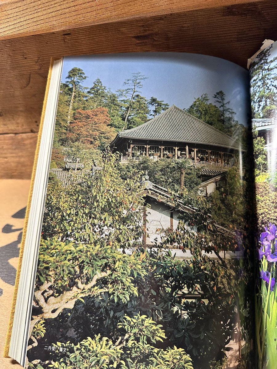 「小観音の御輿の御触れに参りました。」

小綱さんの“御輿役の触れ”。
ただ一言。
互いに黙礼して去られる。

受ける側は、ただ黙って受けるのみ。

心の中で
――本音も、どうぞよろしくお願いします。

2月19日朝